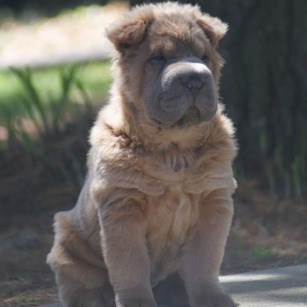 Meet your Posher, Hazel